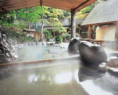 Depuis Tokyo : visite privée d’une journée à Hakone avec croisière pirate et onsen