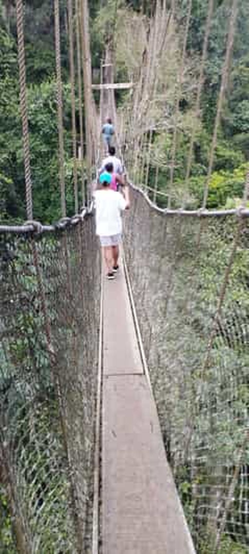 Circuit de 10 jours sur le thème du patrimoine, de l'histoire et de l'aventure au Ghana