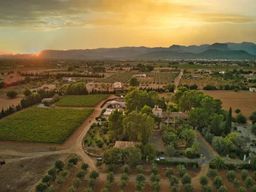 Binissalem : visite individuelle des vignobles et dégustation de vin en français