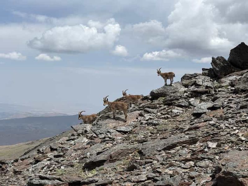 Au départ de Grenade : randonnée dans la haute Sierra Nevada