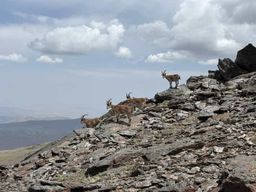 Depuis Grenade : randonnée dans la haute Sierra Nevada