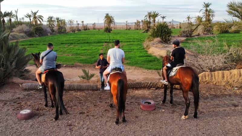 Marrakech : Visite privée à cheval dans la palmeraie avec thé