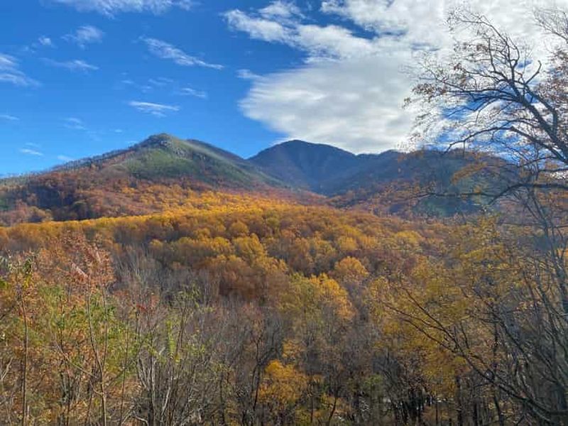 Gatlinburg : Circuit classique dans le parc national des Great Smoky Mountains