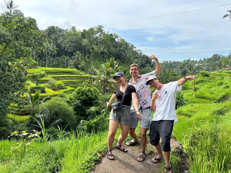Ubud : Tirta Empul, rizière, cascade et visite personnalisée