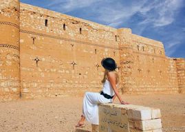 Histoire et nature : réserve de zones humides d'Azraq et châteaux du désert