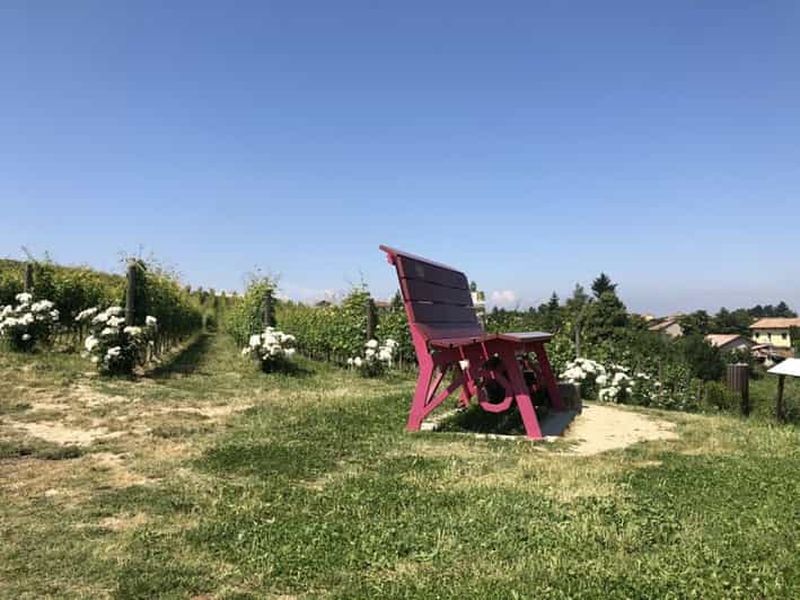 Costigliole d'Asti : Visite guidée à pied avec dégustation de vins