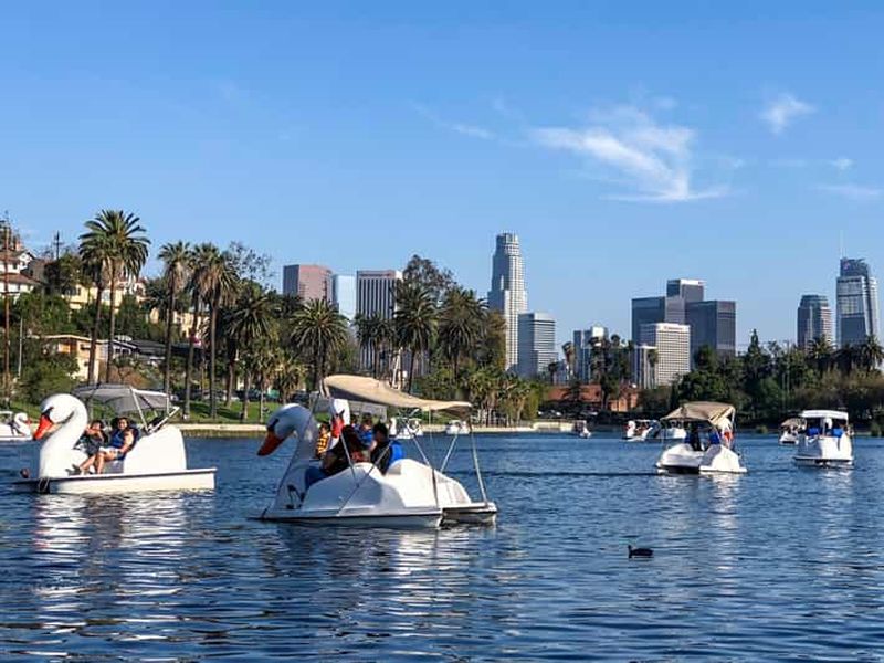 Echo Park Lake : location de pédalo Swan