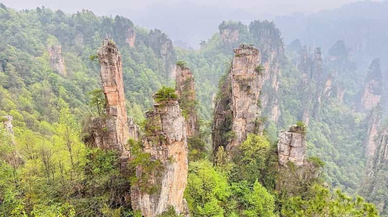 Zhangjiajie : visite privée VIP d'une journée dans le parc forestier national