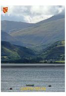 Expérience de la forêt celtique à Betws y Coed