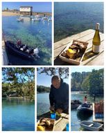 De Pont-Aven à Trévignon : balade en mer, découverte de la côte,dégustation