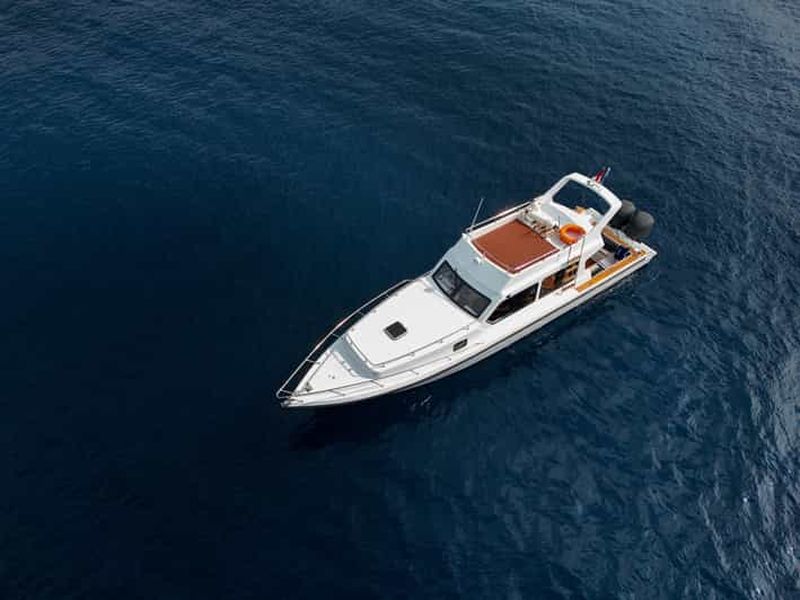 Labuan Bajo : Excursion d'une journée à la découverte du parc national de Komodo