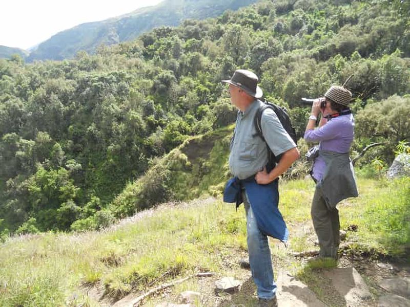 Excursion d'une journée dans les montagnes du Simien : observation de la faune et de la flore, randonnée pédestre