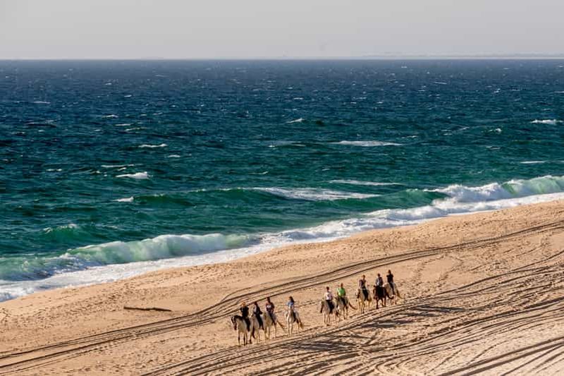 Melides : Équitation sur la plage avec dégustation de vin