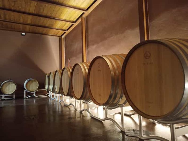 Volterra : visite guidée d'un domaine viticole et dégustation