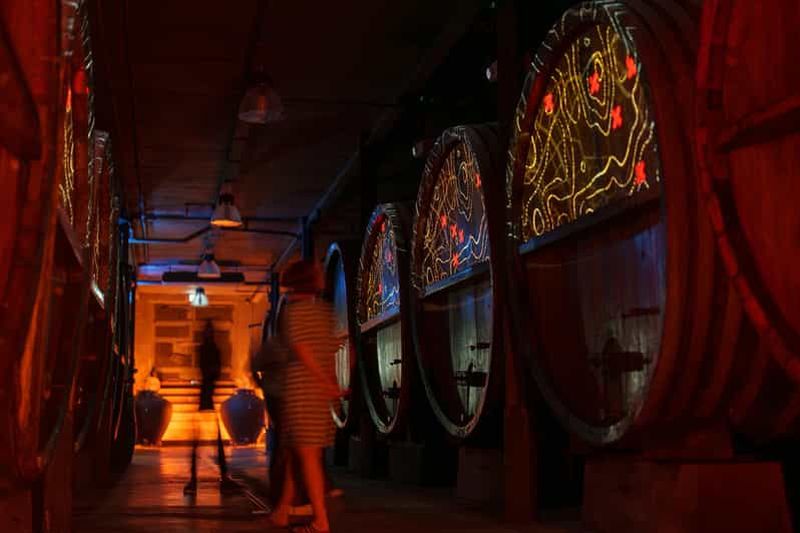 Dégustation de vin guidée et visite immersive de cave en Alsace