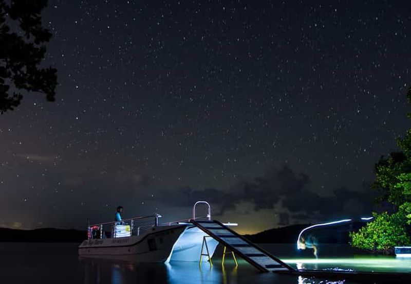 Vieques : Tour en bateau de la baie bioluminescente
