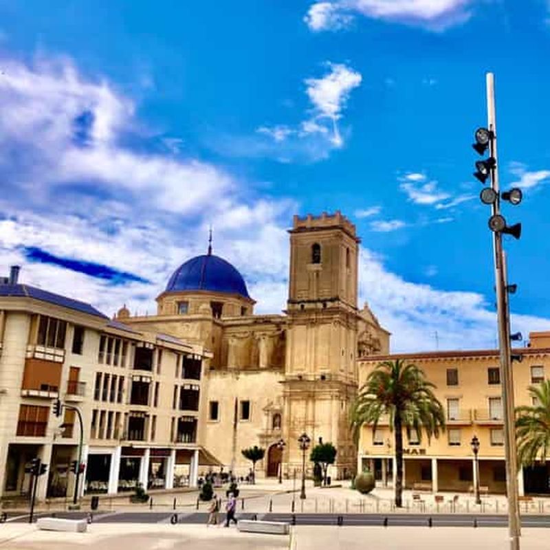 Elche : visite guidée de la basilique Santa María et ascension de la tour