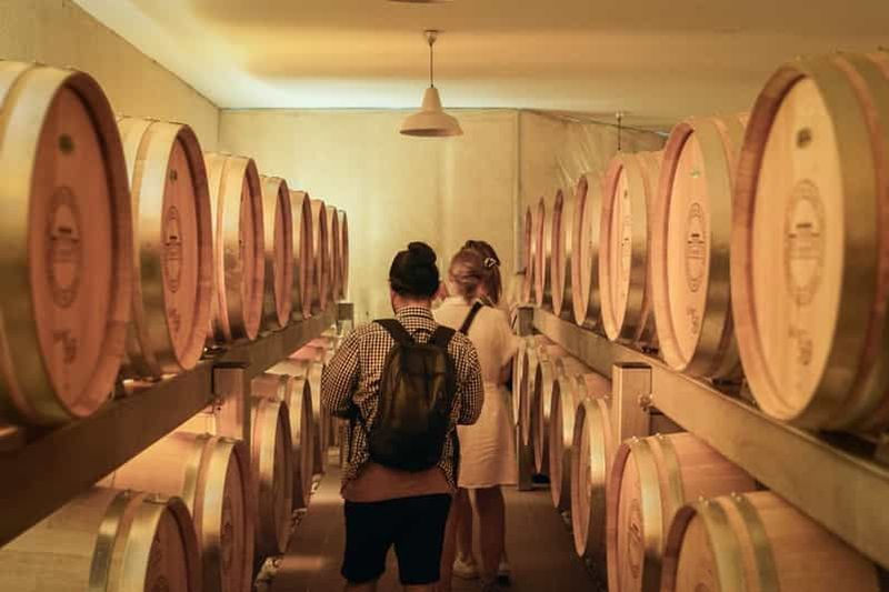 Au cœur d’un Grand Cru : visite & dégustation à Saint-Émilion