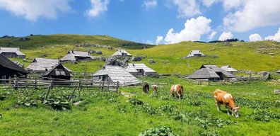 Au départ de Ljubljana : randonnée guidée à Velika Planina