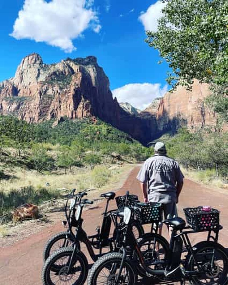 Springdale : Visite guidée en vélo électrique dans le parc national de Zion