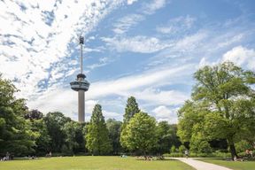 Rotterdam : Billet pour la tour de guet de l'Euromast