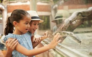 Zoo de Dublin : Billets coupe-file avec transferts privés