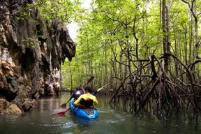 Krabi : Kayak de mer privé à Ao Thalane et sur l'île de Hong