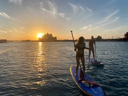 Dubaï : excursion en paddleboard à Palm Jumeirah