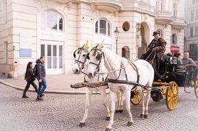 Vienne : Visite guidée de l'héritage roumain et des marchés de Noël