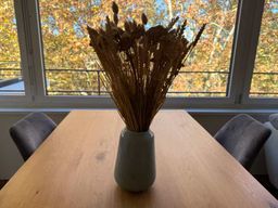 Zurich : Dégustation de vins suisses chez l'habitant