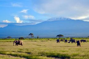 Nairobi : parc national d'Amboseli, mont Kilimandjaro et village masaï