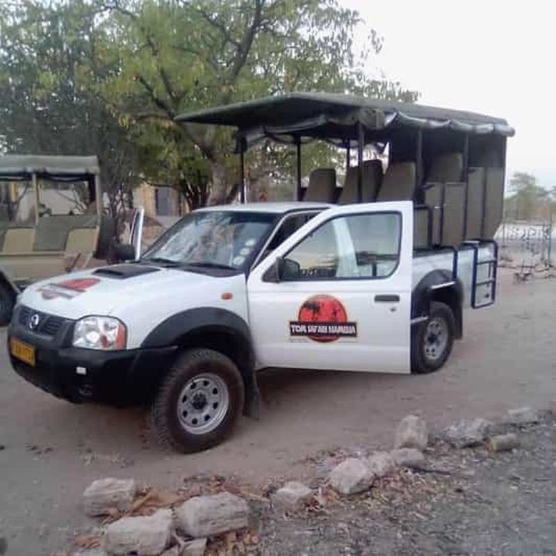 Parc national d'Etosha : Excursion d'une journée ou d'une demi-journée