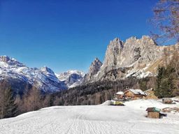 Cortina d'Ampezzo : Excursion guidée sur la neige des Dolomites