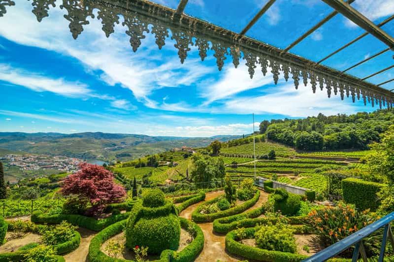 Vale do Douro : Expérience sensorielle dans le Douro : vins, huile d'olive et histoire