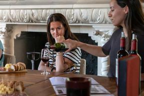 Depuis Bordeaux : dégustation de vin et collation à Saint-Émilion