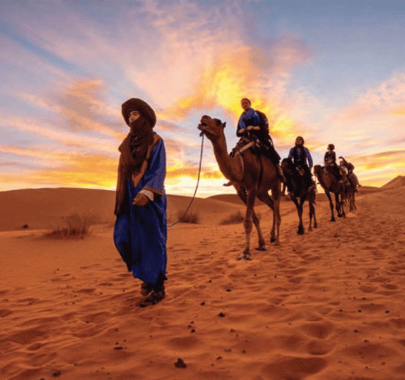 Tozeur : Balade à dos de chameau dans l'oasis de Tozeur. 2 heures