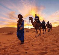 Tozeur : Balade à dos de chameau dans l'oasis de Tozeur. 2 heures