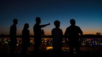 Uluru : Excursion au lever du soleil avec boissons chaudes
