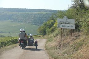 De Meursault : Visite privée en side-car et dégustation de vins du vignoble