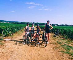Dijon : Visite à vélo et dégustations dans les vignobles de Bourgogne