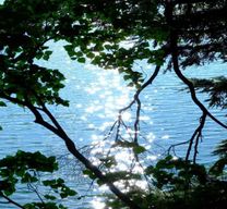 Depuis Tokyo : visite du sanctuaire de Nikkō Tōshō-gū et des chutes de Kegon