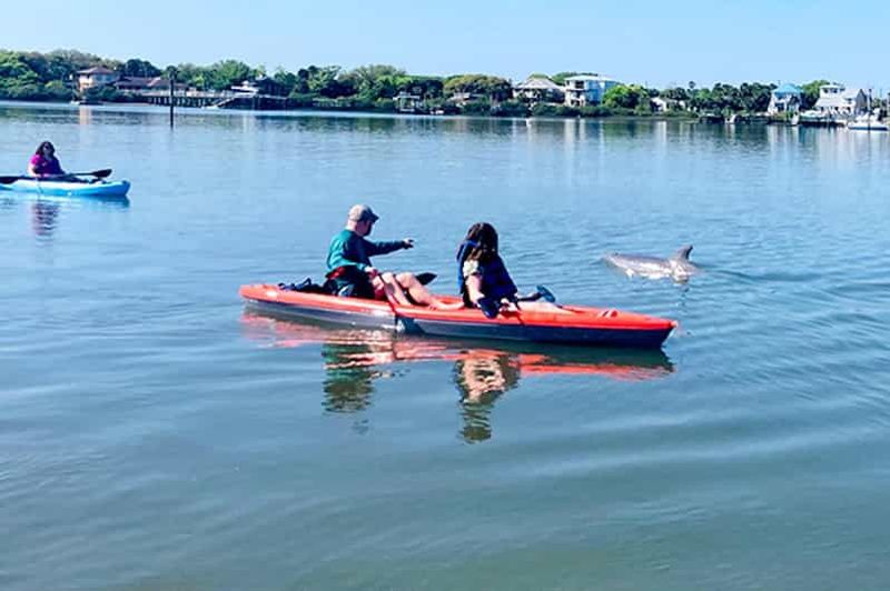 St. Augustine : Tour en dauphin et lamantin en pagaie ou en kayak