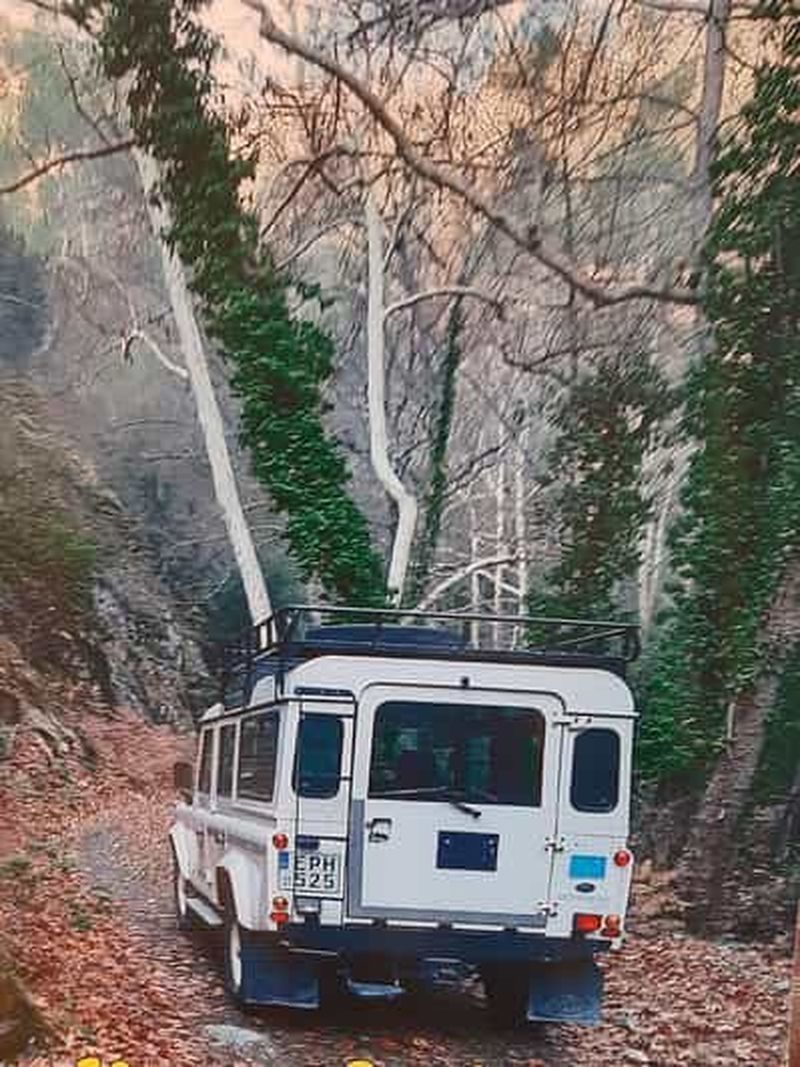 Safari en Jeep vers Akamas et les gorges d'Avakas, en français et en anglais