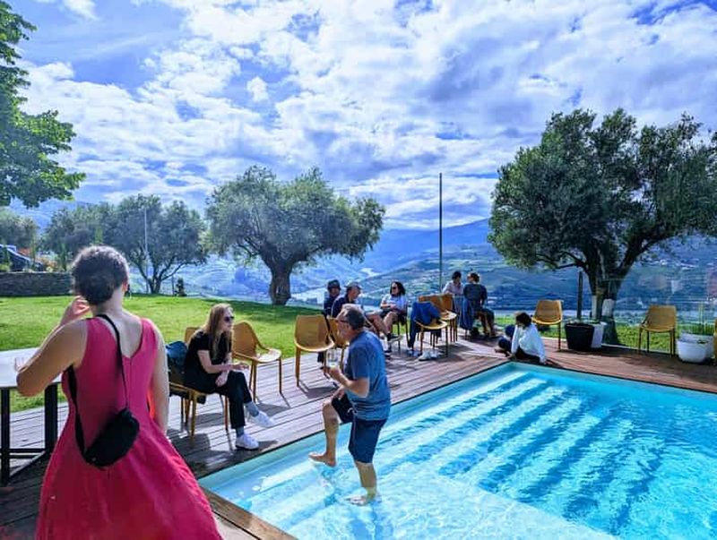 Au départ de Porto : 2 régions viticoles, déjeuner de la ferme à la table et bateau