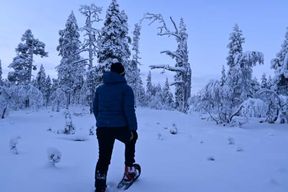 Saariselkä : Randonnée en raquettes dans le parc national d'Urho Kekkonen