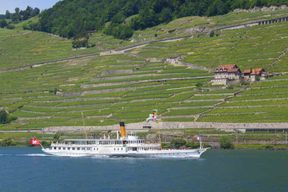 Lausanne : Croisière de 2 heures sur le lac Léman, le long des vignobles de Lavaux