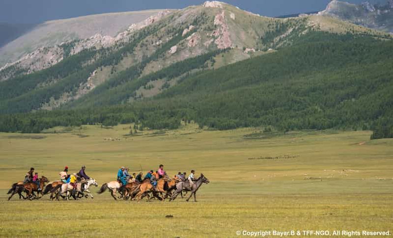 Parc national de Terelj : Circuit avec équitation et randonnée