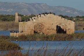 Catane : Excursion d'une journée à Vendicari, Marzamemi et Noto