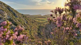 Sciacca : excursion tout-terrain 4x4 à Capo Bianco et Eraclea Minoa