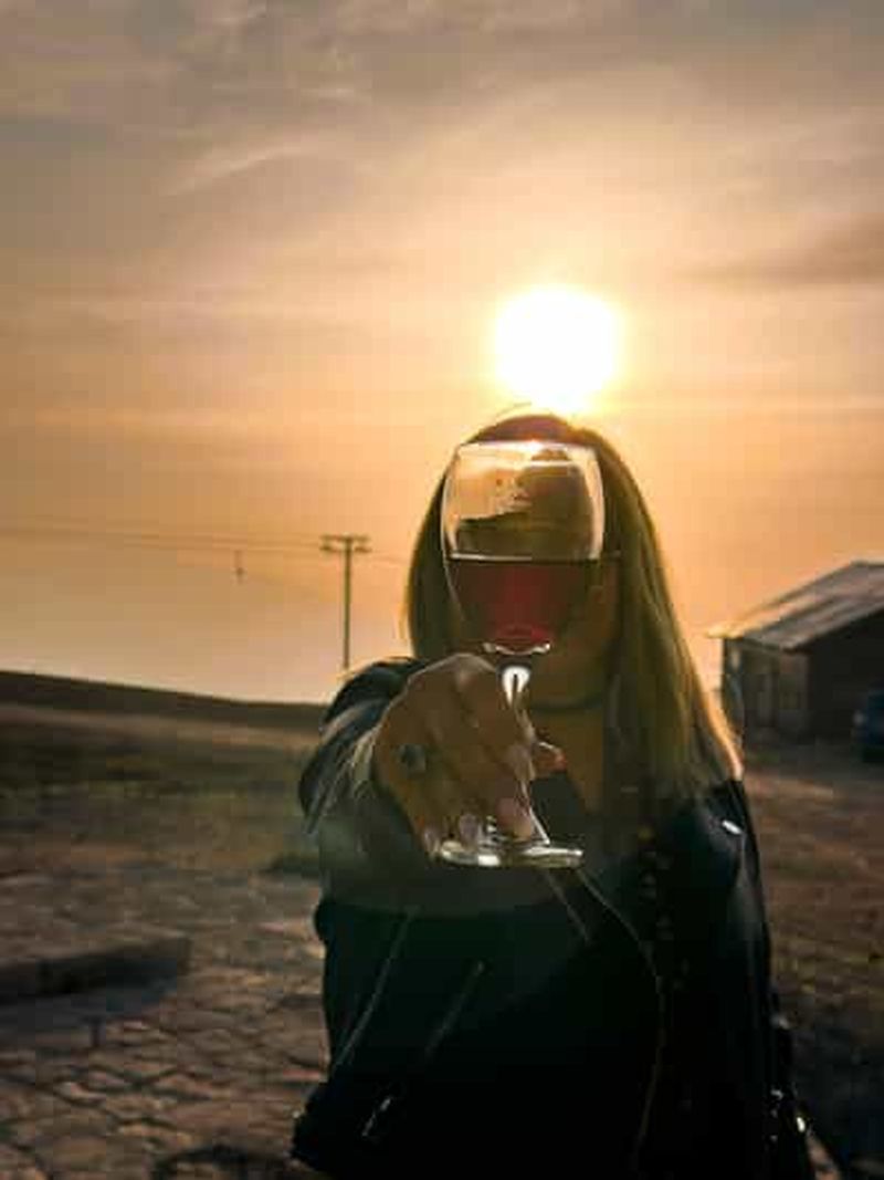 Santiago : Coucher de soleil sur la Cordillère des Andes, Valle Nevado et pique-nique